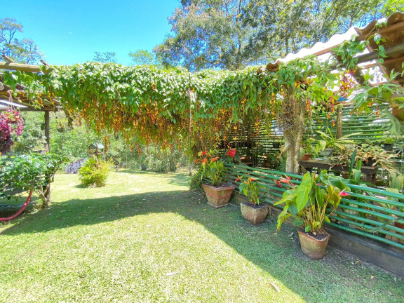 Imagem Chácara com 3 Quartos à Venda, 130.000 m² em Nova Esperança - Balneário Camboriú