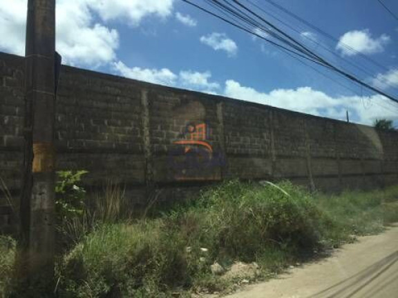 Imagem Terreno à Venda, 12.500 m² em Imbiribeira - Recife Imagem Terreno à Venda, 12.500 m² em Imbiribeira - Recife