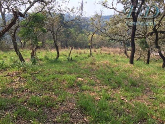 Imagem Terreno à Venda, 44.000 m² em Terra Preta (terra Preta) - Mairiporã Imagem Terreno à Venda, 44.000 m² em Terra Preta (terra Preta) - Mairiporã