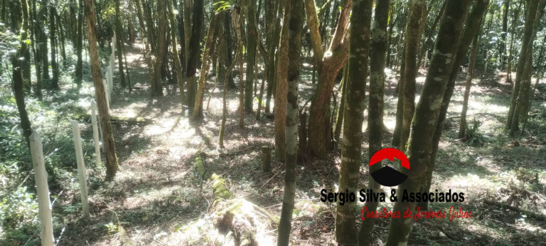Imagem Terreno à Venda, 1 m² em Vila Natal - Campos Do Jordão