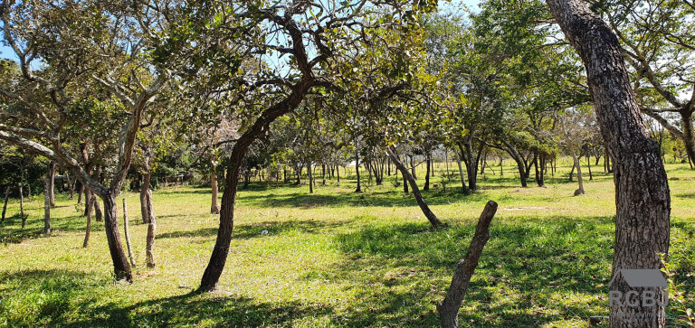 Imagem Terreno à Venda,  em Tropeiros - Esmeraldas