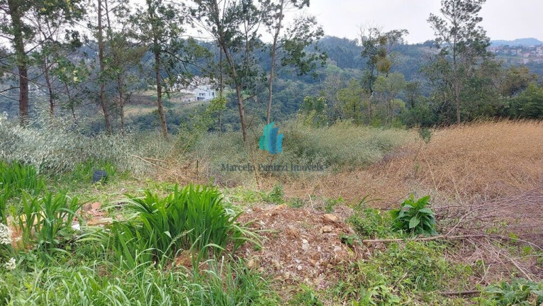 Imagem Terreno à Venda, 442 m² em Santo Antão - Bento Gonçalves Imagem Terreno à Venda, 442 m² em Santo Antão - Bento Gonçalves
