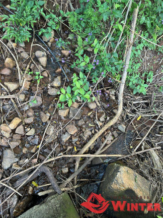 Imagem Chácara à Venda, 107.448 m² em Canto Chuchu - Linha Nova Imagem Chácara à Venda, 107.448 m² em Canto Chuchu - Linha Nova