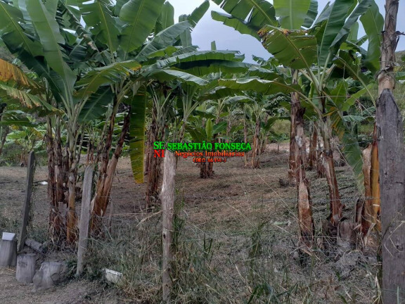Imagem Chácara à Venda, 2 m² em área Rural De São José Dos Campos - São José Dos Campos Imagem Chácara à Venda, 2 m² em área Rural De São José Dos Campos - São José Dos Campos