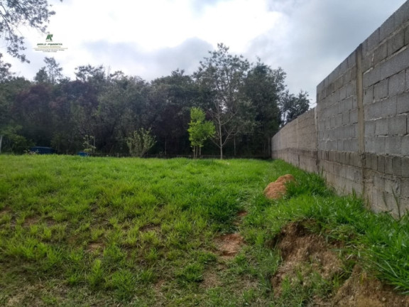 Imagem Chácara com 2 Quartos à Venda, 2.500 m² em Recanto Das Acácias - São Roque Imagem Chácara com 2 Quartos à Venda, 2.500 m² em Recanto Das Acácias - São Roque