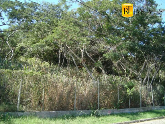 Imagem Terreno à Venda, 1.000 m² em Geribá - Búzios Imagem Terreno à Venda, 1.000 m² em Geribá - Búzios