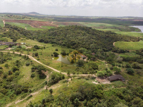 Imagem Fazenda à Venda, 160.000 m² em Rural - Paudalho Imagem Fazenda à Venda, 160.000 m² em Rural - Paudalho