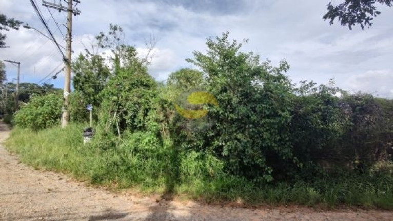 Imagem Terreno à Venda, 1.000 m² em Jardim Colibri - Cotia Imagem Terreno à Venda, 1.000 m² em Jardim Colibri - Cotia