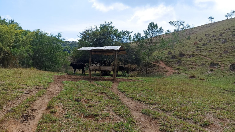 Imagem Chácara com 1 Quarto à Venda, 10 m² em Capim Da Angola - Paraibuna Imagem Chácara com 1 Quarto à Venda, 10 m² em Capim Da Angola - Paraibuna