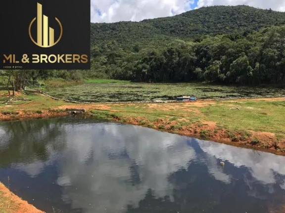 Imagem Imóvel com 3 Quartos à Venda, 200.000 m² em Zona Rural - Mandirituba