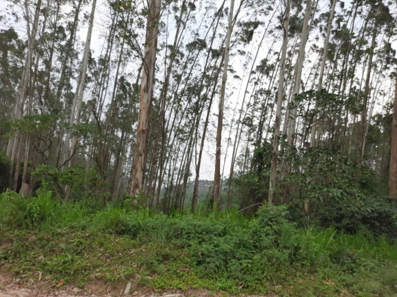 Imagem Fazenda à Venda, 127.997 m² em Pacotuba - Almirante Tamandaré Imagem Fazenda à Venda, 127.997 m² em Pacotuba - Almirante Tamandaré