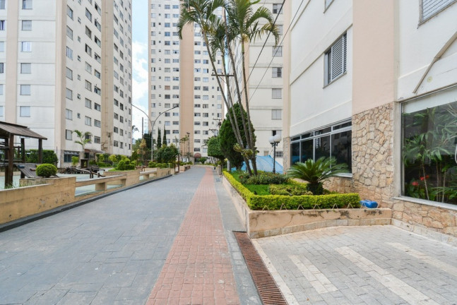 Imagem Apartamento com 2 Quartos à Venda, 50 m² em Vila Ivone - São Paulo