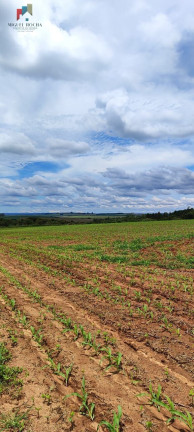 Imagem Imóvel com 1 Quarto à Venda, 1.815.000 m² em Da Bandeira (lavrinha) - São Miguel Arcanjo Imagem Imóvel com 1 Quarto à Venda, 1.815.000 m² em Da Bandeira (lavrinha) - São Miguel Arcanjo
