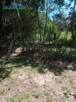 Imagem Casa com 2 Quartos à Venda, 750 m² em Viamão Imagem Casa com 2 Quartos à Venda, 750 m² em Viamão