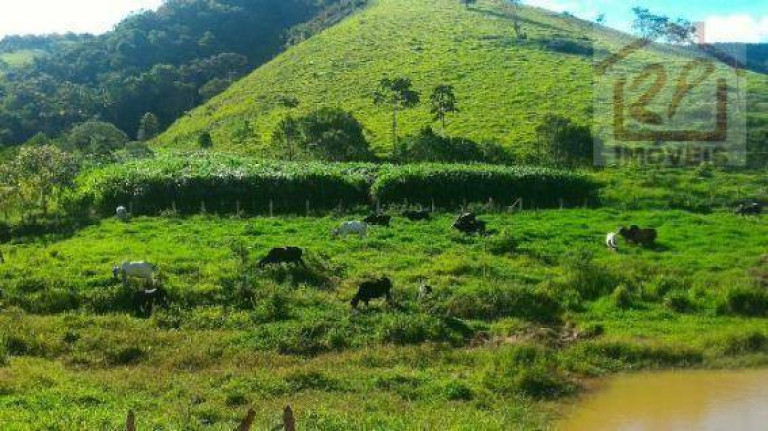 Imagem Fazenda à Venda, 411.400 m² em Centro - Redenção Da Serra Imagem Fazenda à Venda, 411.400 m² em Centro - Redenção Da Serra