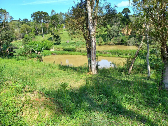 Imagem Imóvel à Venda, 9.075 m² em Zona Rural - Quitandinha Imagem Imóvel à Venda, 9.075 m² em Zona Rural - Quitandinha