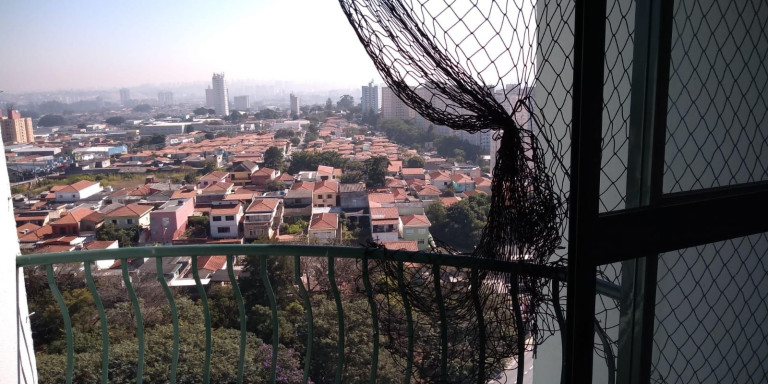 Imagem Imóvel com 2 Quartos à Venda, 54 m² em Interlagos - São Paulo Imagem Imóvel com 2 Quartos à Venda, 54 m² em Interlagos - São Paulo