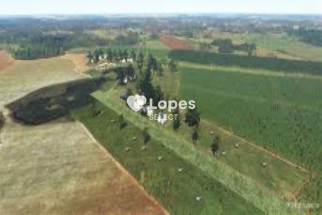 Imagem Imóvel com 1 Quarto à Venda, 310 m² em área Rural De Ribeirão Preto - Ribeirão Preto Imagem Imóvel com 1 Quarto à Venda, 310 m² em área Rural De Ribeirão Preto - Ribeirão Preto
