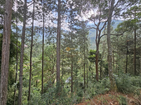 Imagem Terreno à Venda, 670 m² em Cascata Dos Amores - Teresópolis Imagem Terreno à Venda, 670 m² em Cascata Dos Amores - Teresópolis