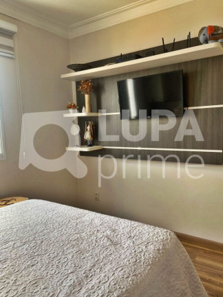 Imagem Apartamento com 3 Quartos à Venda, 63 m² em Vila Guilherme - São Paulo Imagem Apartamento com 3 Quartos à Venda, 63 m² em Vila Guilherme - São Paulo