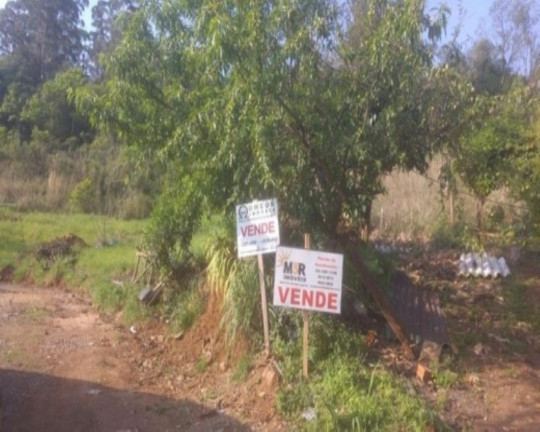 Terreno à Venda, 3.382 m² em Vale Verde - Nova Petrópolis