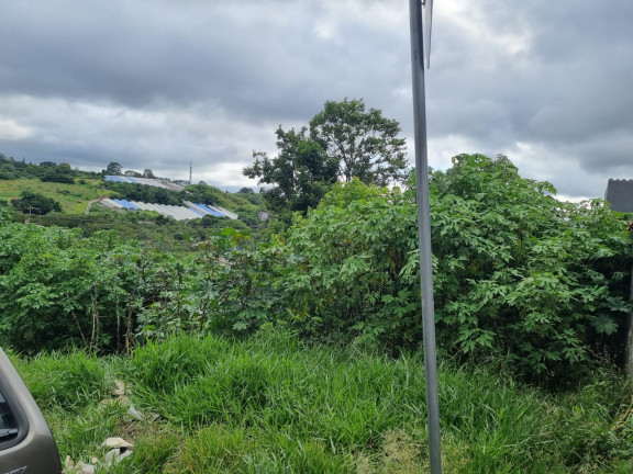 Imagem Terreno à Venda, 294 m² em Barro Branco - Cotia Imagem Terreno à Venda, 294 m² em Barro Branco - Cotia