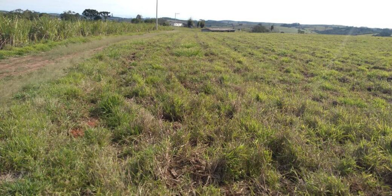 Imagem Fazenda à Venda, 56 m² em Zona De Pecuária - Pilar Do Sul Imagem Fazenda à Venda, 56 m² em Zona De Pecuária - Pilar Do Sul