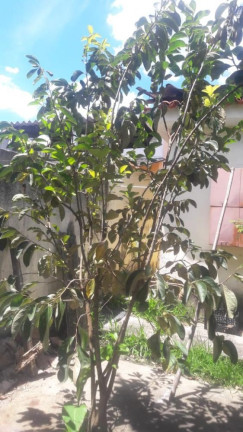 Imagem Imóvel com 2 Quartos à Venda, 80 m² em Campo Grande - Rio De Janeiro