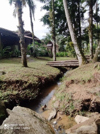 Imagem Terreno à Venda, 6.000 m² em Sertãozinho - Itapema Imagem Terreno à Venda, 6.000 m² em Sertãozinho - Itapema