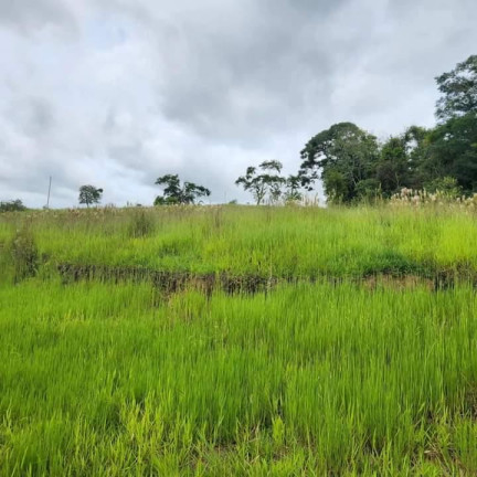 Imagem Chácara à Venda, 4 m² em Rural - Angatuba Imagem Chácara à Venda, 4 m² em Rural - Angatuba