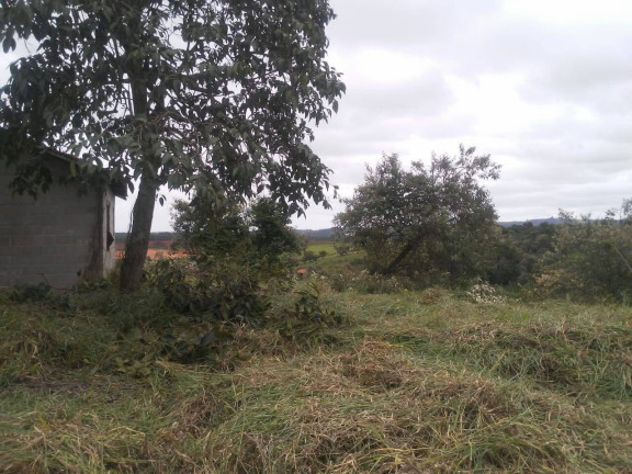 Foto do imóvel Terreno em Condomínio à Venda, 6.460 m² em Ivoturucaia - Jundiaí