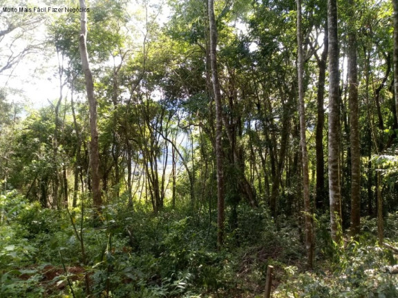Imagem Terreno à Venda, 3 m² em Linha Pirajá Alta - Nova Petrópolis