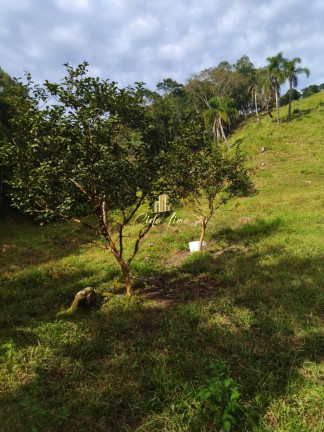 Imagem Chácara à Venda, 6.000.000 m² em São Pedro De Alcântara Imagem Chácara à Venda, 6.000.000 m² em São Pedro De Alcântara