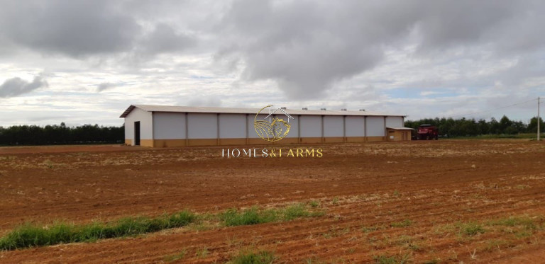 Imagem Imóvel com 3 Quartos à Venda, 17.897 m² em Zona Rural - água Boa Imagem Imóvel com 3 Quartos à Venda, 17.897 m² em Zona Rural - água Boa