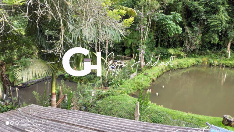 Imagem Chácara com 5 Quartos à Venda, 7.000 m² em Vila Elvio - Piedade