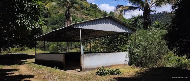 Imagem Imóvel com 2 Quartos à Venda, 45 m² em Zona Rural - Santa Leopoldina Imagem Imóvel com 2 Quartos à Venda, 45 m² em Zona Rural - Santa Leopoldina