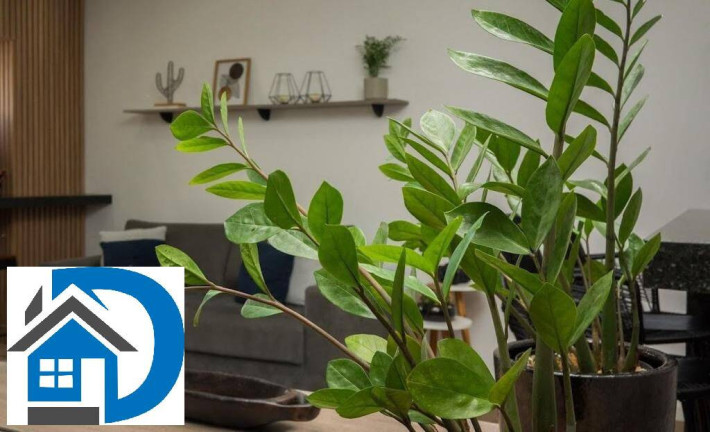Imagem Apartamento com 2 Quartos à Venda, 57 m² em Jardim Americano - Sorocaba