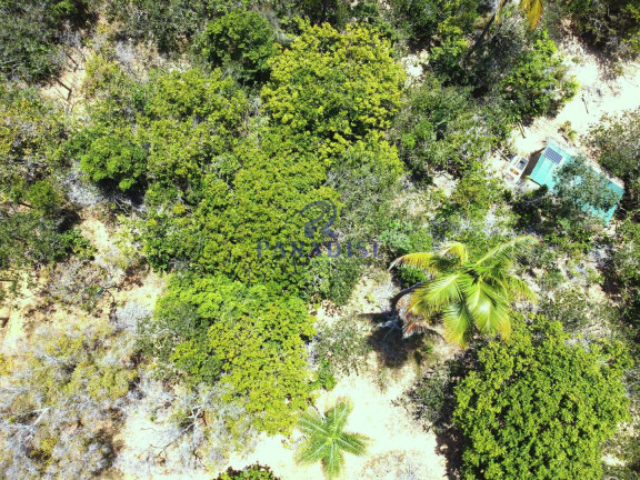 Terreno à Venda, 6.000 m² em Diogo - Mata De São João