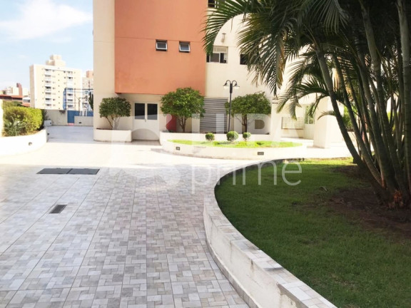 Imagem Apartamento com 3 Quartos à Venda, 70 m² em Parada Inglesa - São Paulo Imagem Apartamento com 3 Quartos à Venda, 70 m² em Parada Inglesa - São Paulo