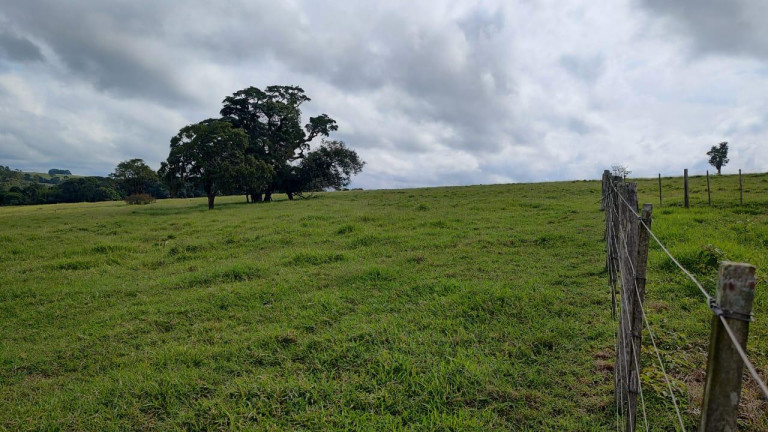 Imagem Fazenda à Venda, 64 m² em Rural - Itapetininga Imagem Fazenda à Venda, 64 m² em Rural - Itapetininga