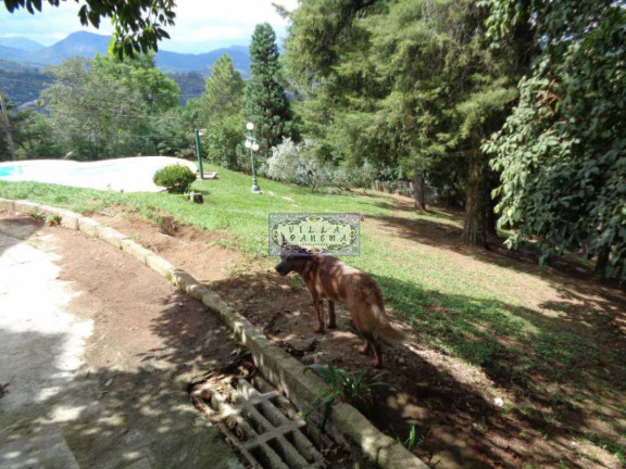 Imagem Imóvel com 3 Quartos à Venda, 200 m² em Iucas - Teresópolis