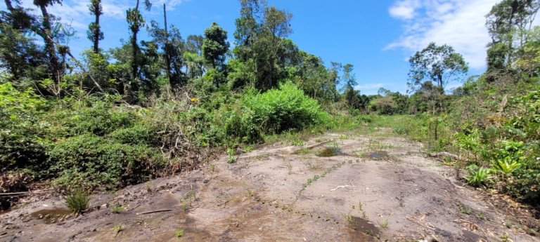 Imagem Terreno à Venda, 768 m² em Praia Das Palmeiras - Itapoá Imagem Terreno à Venda, 768 m² em Praia Das Palmeiras - Itapoá