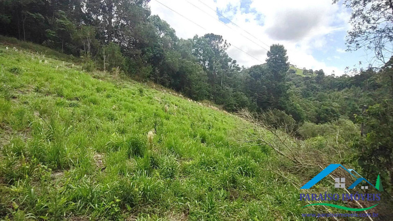 Imagem Chácara à Venda, 20 m² em Centro - Camanducaia Imagem Chácara à Venda, 20 m² em Centro - Camanducaia