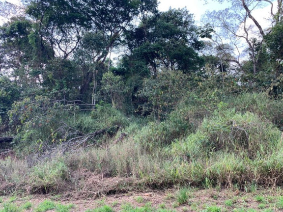 Imóvel à Venda, 1.000 m² em Mirante Da Mata - Nova Lima
