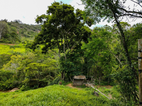 Imagem Imóvel com 3 Quartos à Venda, 235 m² em Colônia Alpina - Teresópolis