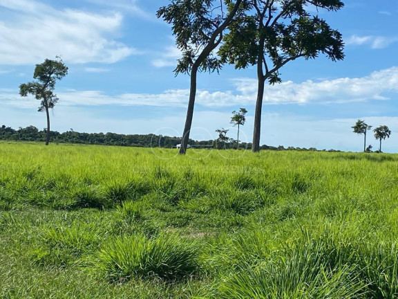 Fazenda à Venda,  em Zona Rural - Caceres