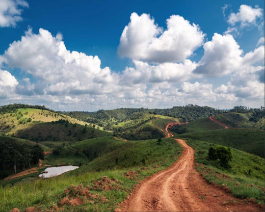 Imagem Imóvel à Venda, 20.000 m² em Br 040 - Juiz De Fora Imagem Imóvel à Venda, 20.000 m² em Br 040 - Juiz De Fora