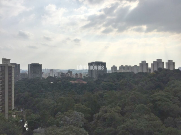 Imagem Apartamento com 3 Quartos à Venda, 230 m² em Morumbi - São Paulo Imagem Apartamento com 3 Quartos à Venda, 230 m² em Morumbi - São Paulo