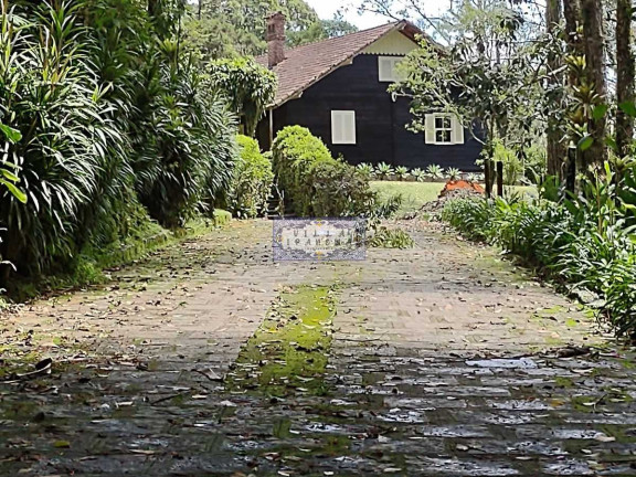 Imagem Imóvel com 3 Quartos à Venda, 40.000 m² em Granja Guarani - Teresópolis