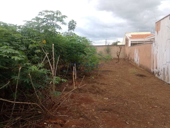 Imagem Terreno à Venda, 300 m² em Jardim Itália - Pirassununga Imagem Terreno à Venda, 300 m² em Jardim Itália - Pirassununga